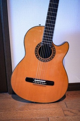 【ヴィンテージ】Morris GrooVin PA-17G エレガット エレアコ Vintage Morris Groovin Pa-17G Elegat Eco No.MG1051 | eBay