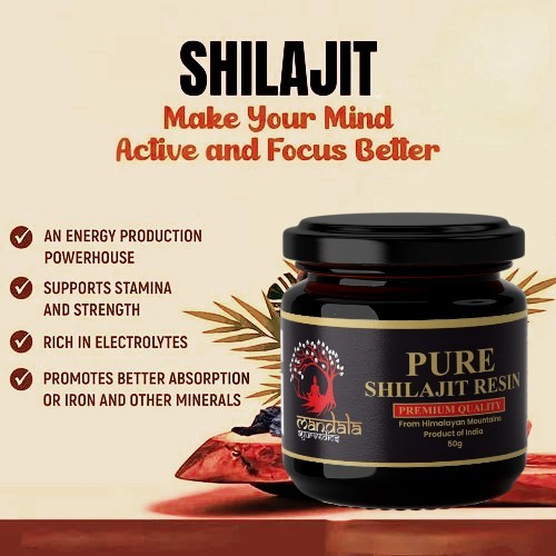 Pure Himalayan Shilajit Resin 50g Natural Energy Booster