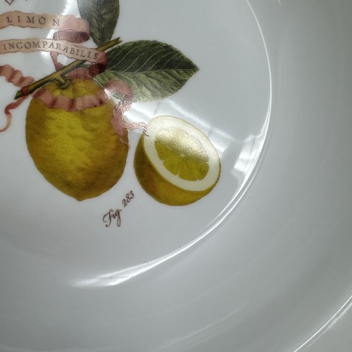 WILLIAMS SONOMA LEMON LIMONIER Pasta Fruit Centerpiece Serving Bowl 14.5" - Picture 17 of 18