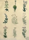 Foto 5 di 6