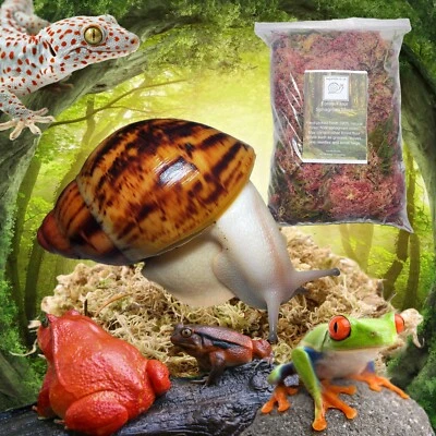 BUGZNBITS Forest Floor Sphagnum Moss, 100% Natural, Freshly Hand Picked, Snails, Frogs