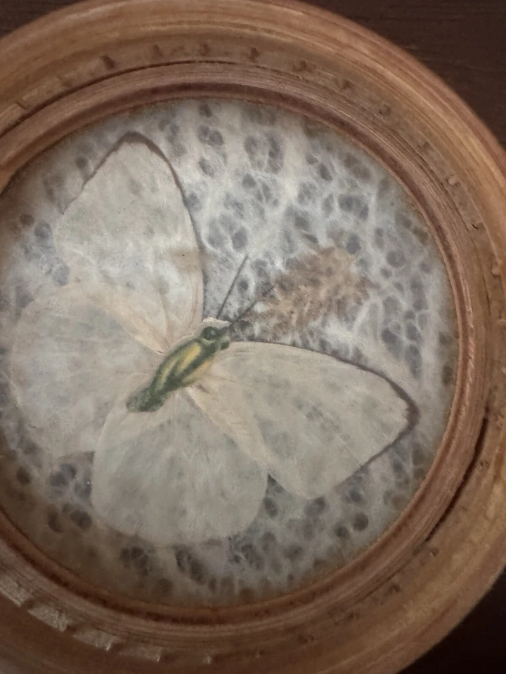 Posavasos de bambú hechos a mano con mariposas reales y polillas debajo del vidrio.  Foto 4 de 4