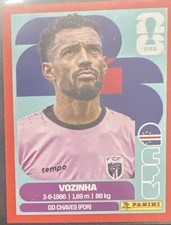 Vozinha 2026 Panini World Cup red sticker