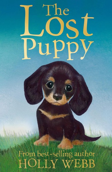 The Lost Puppy | Holly Webb | Englisch | Taschenbuch | Holly Webb Animal Stories-image