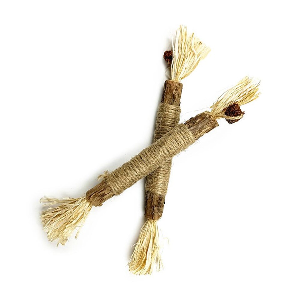 Bastoncini Di Erba Gatta Per Igiene Dentale - 30 Pezzi Naturali Per Pulizia Denti Gatti - Foto 3