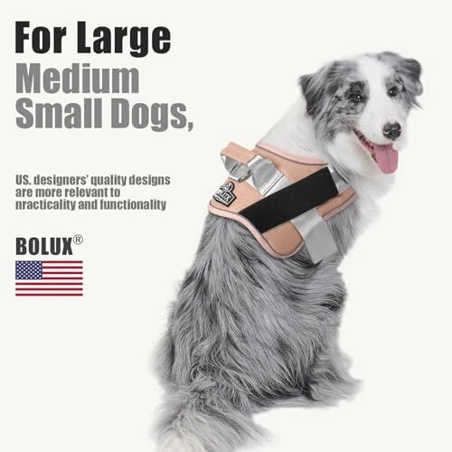 Dog Harness, No-Pull Reflective Dog Vest, XX-Large (Pack of 1) RosePink