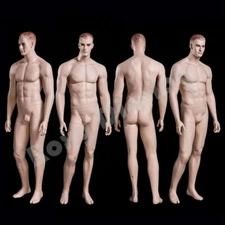Realistic male mannequin with molded hair #MZ-WEN5
