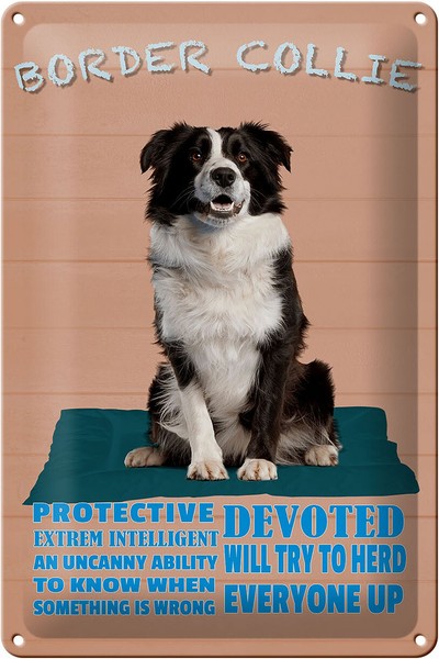 Blechschild Spruch 20X30 Cm Border Collie Hund Protective Deko Schild Tin Sign-image