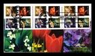 US COVER FLOWERS SELF ADHESIVE BOOKLET FIRST DAY ISSUE ALL OVER BGC