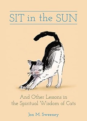 Sit in the Sun: And Other Lessons in the Spiritua... by Sweeney, Jon M. Hardback