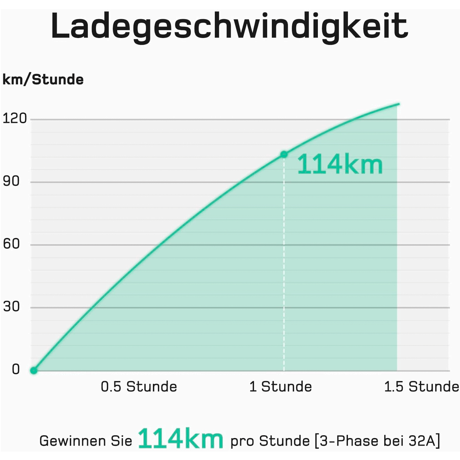 Bild 11 von 12