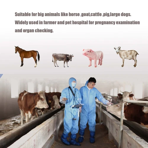 Tragbarer Veterinär Ultraschall Scanner für Schwangerschaft Schwein Schaf Hund - Bild 7 von 9