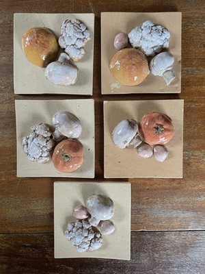 5 x Vintage Küchen Wandfliesen / Handarbeit / Relief Gemüse / Zellige 10x10cm