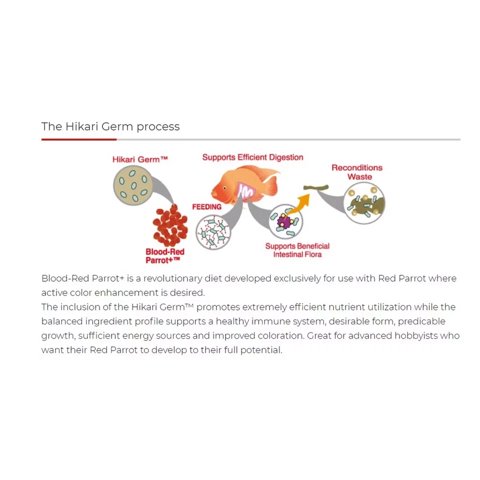 Hikari Blood Red Parrot Cichlid Food 600g Floating Mini Medium Color Enhancer - Image 4 of 4