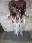 Wild 8 Point Whitetail Deer Antler Rack Horn Skull European Mount Man Cave
