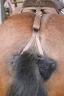 Bild 8 von 63