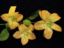 Vtg Millinery Flower 3 Clematis Lt Tan Brown Trim for Hat Wedding  Hair K73