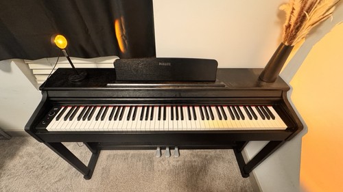 Donner 88-Key Digital Home Piano with 3 Pedals Black
