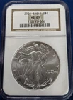 A 2001 $1 American Silver Eagle NGC MS69 Brown Label
