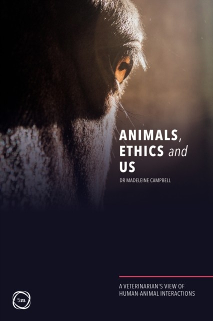 Animals, Ethics and Us by Madeleine Campbell (Paperback Book)