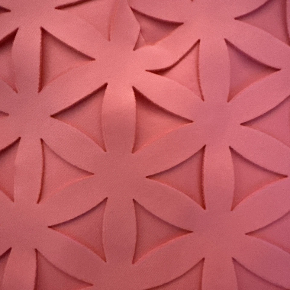 Pantalones Cortos Lilly Pulitzer Estrella Superposición Coral Neón Talla 4 Raro Ver Fotos Leer Foto 3 de 4