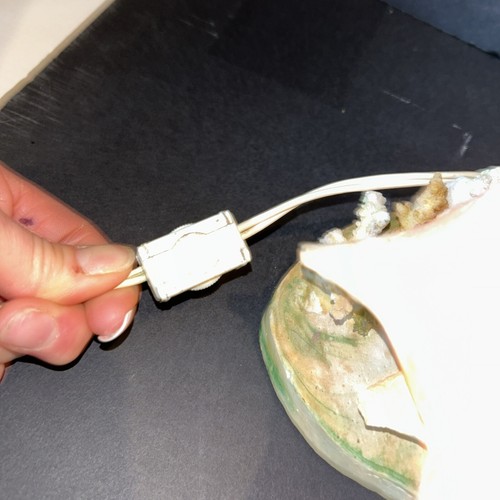 Large Vintage Conch Shell Lamp Night Light Accent Light w/ In-Line Power Switch - Picture 9 of 24