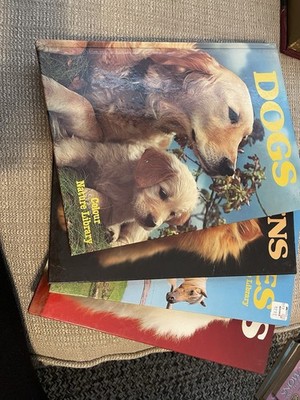 nonfiction books: Dogs, Kittens, Horses & Cats The Color Nature series vintage  