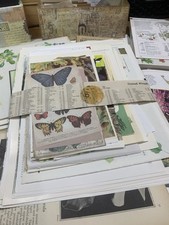 Junk Journal 50 Sheets Vintage NATURE Book Pages mixed Media Papers/Ephemera 