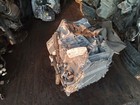 Picture 6 of 21