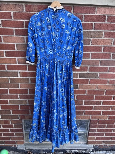 Vintage Prairie Cottagecore Frontier Dress Blue Paisley 60s 70s Lace Trim Maxi - Picture 2 of 8