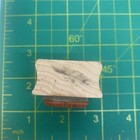 Picture 3 of 6