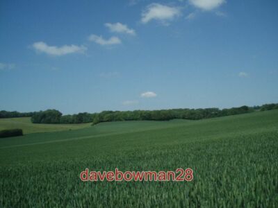 FOTO OMAS GÜRTEL STANMER PARK BAUMREIHE Richtung norden von stanmer villag