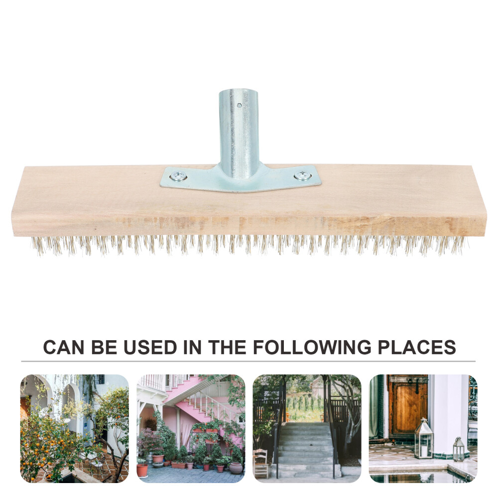 Garden Steel Wire Brush Moss Brush Moss Removal Brush eBay