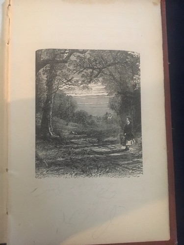 Kitty's Journey Hardcover 1875 - Picture 10 of 12