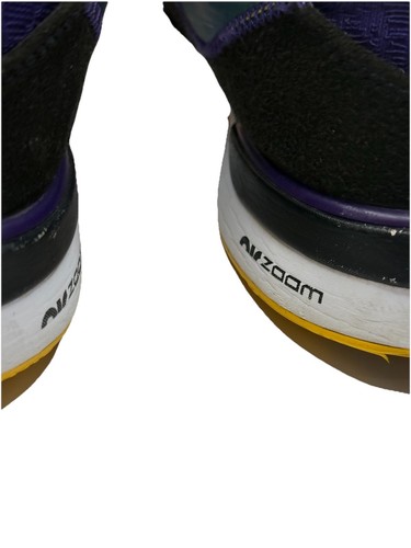 Nike Air Zoom LBJ Lebron Witness Lakers Farben irredescent bestickt Nike Größe 8 - Bild 9 von 9
