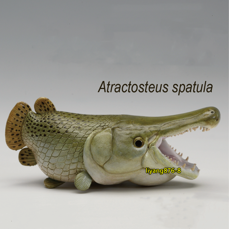 Animal Planet Alligator Gar Resin Model Atractosteus Spatula Figure Doll Toys | eBay Animal Planet Alligator Gar Resin Model Atractosteus Spatula Figure Doll Toys | eBay