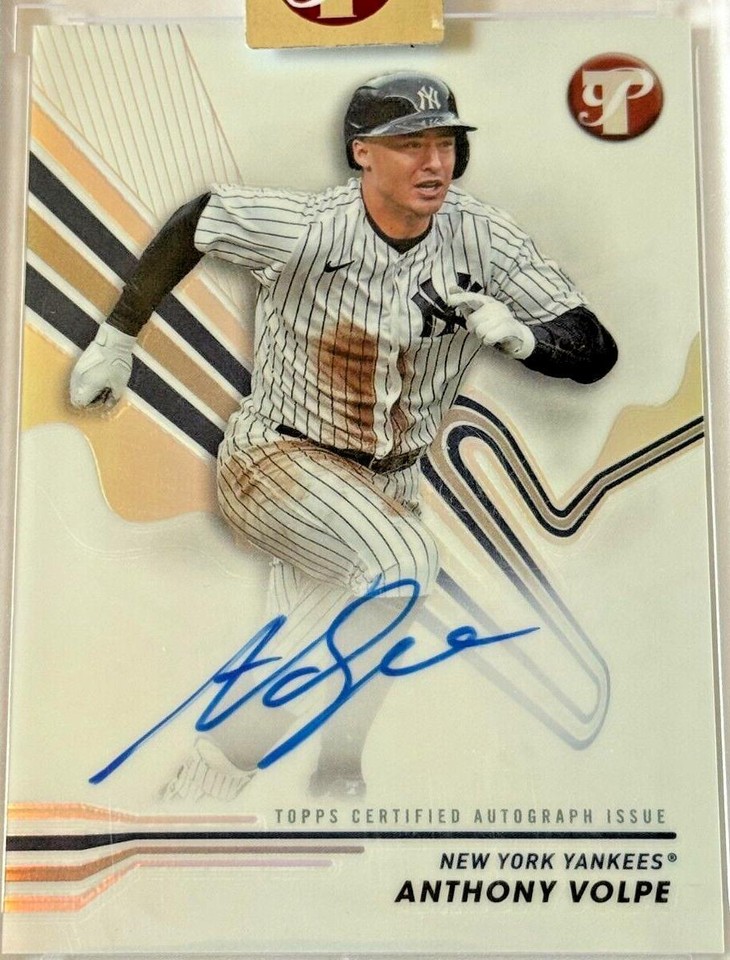 2019 Panini Anthony Volpe auto 直筆サイン シリ PSA10 Anthony volpe