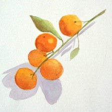 Transparent watercolor: Freshly Picked