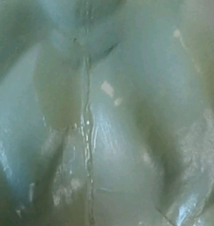 Picture 12 of 12