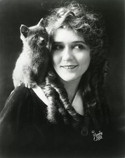 A Mary Pickford Cat On His Shoulder 4x6 Picture Celebrity Print