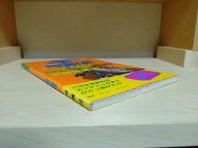 Dragon Spirit Strategy Guide PC Engine 1988 Vintage Used