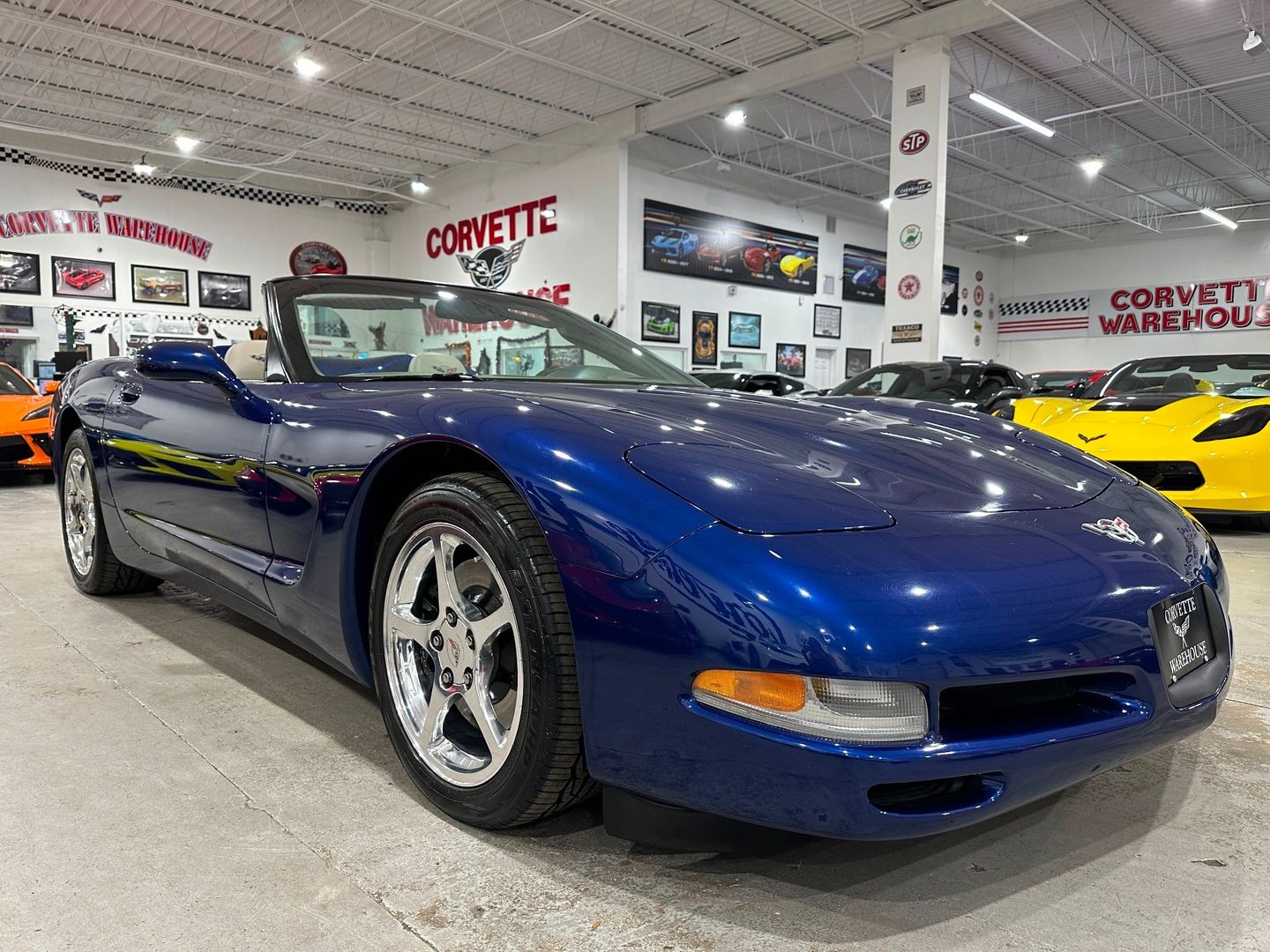 2004 [19U] LeMans Blue Chevrolet Corvette   | C5 Corvette Photo 5