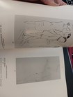 Foto 17 di 17