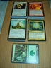 MTG Magic 1x Shards of Alara Complete Common & Uncommon & Basic Land Set NM/M