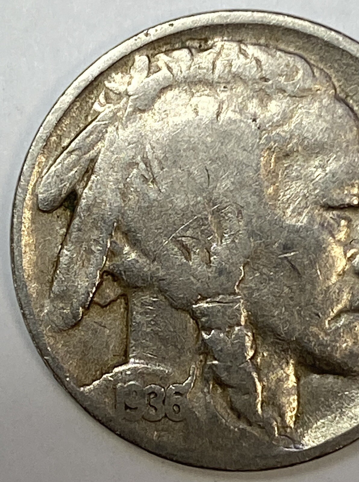 Picture 3 of 6