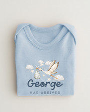 Personalised Babygrow Hat Boys Sleepsuit New Baby has Arrived Stork Blue