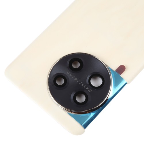 ORIGINAL BACK COVER ONEPLUS CACHE ARRIERE AKKUDECKEL SCOCCA TAMPA ACHTERKANT - Afbeelding 61 van 189