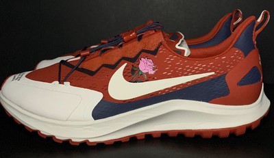 gyakusou air zoom pegasus 36 tr