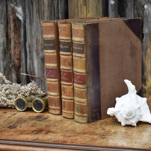 Antique 1866 Biography Charles Knight Leather Gilt Decorative Bound Book Trio - Picture 12 of 13