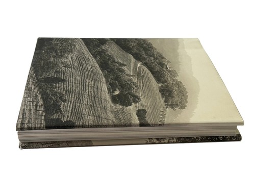 OBSERVATIONS FROM THE HILLSIDE Harlan Estate Hard Cover Dust Jacket 2010 207pp - Foto 4 di 23